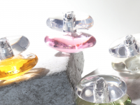 株式会社セントネーションズのプレスリリース画像