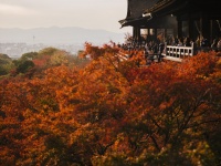 音羽山 清水寺のプレスリリース画像