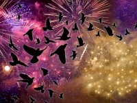 大晦日の花火は何百万羽もの鳥に深刻な影響を与える。越冬している鳥の体に大きな負担