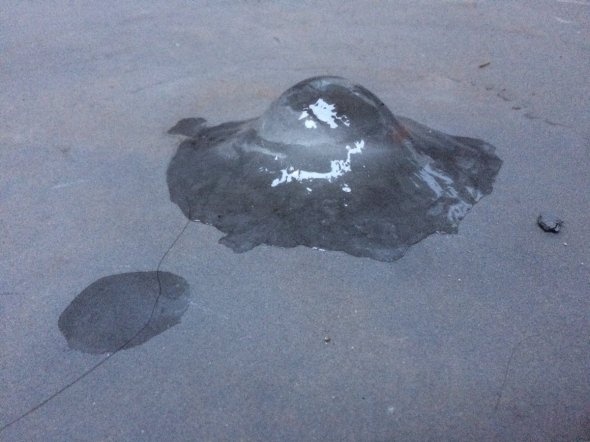 リン（瀕死）さんのツイート（＠dqmslrin11）より