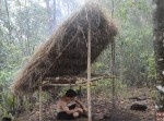 あのサバイバルユーチューバーが、ベッド付シェルターを建築！