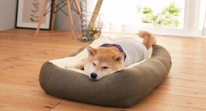 新日本カレンダー株式会社のプレスリリース画像