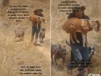 歩けなくなった犬の脚代わりとなり、抱きながら毎日散歩させる飼い主