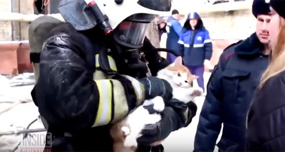 火事の煙で心肺停止になっていた猫に酸素ボンベで救命処置。危機一髪でその命を救ったロシアの消防士たち