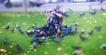 アンタッチャブル！鳩に餌を与えるときにはそれなりの覚悟をもって・・・