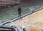 見間違いってコワイ。　男性が枯葉で埋まった道路を渡ろうとしたら・・・