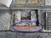 特定非営利活動法人イマジンのプレスリリース画像