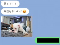いい加減やめて……。毎日ペットの写真を送ってくる人の撃退LINE