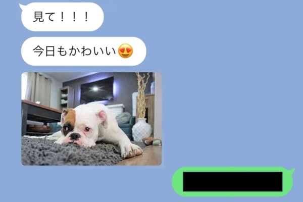 いい加減やめて……。毎日ペットの写真を送ってくる人の撃退LINE