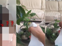 オチはおまえか！順番に植物に水をシュッシュとスプレーしていたところ、最後に待ち構えていたものは！？