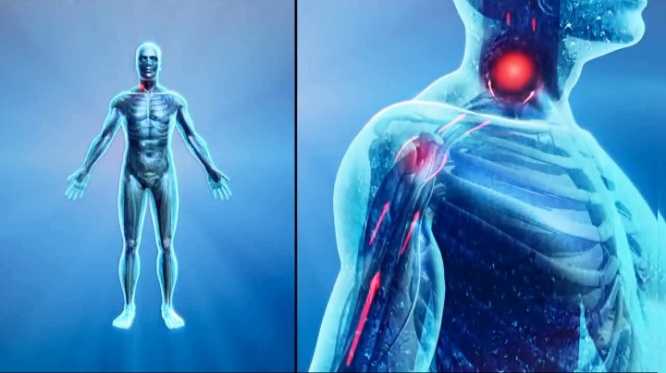 株式会社医道の日本社のプレスリリース画像