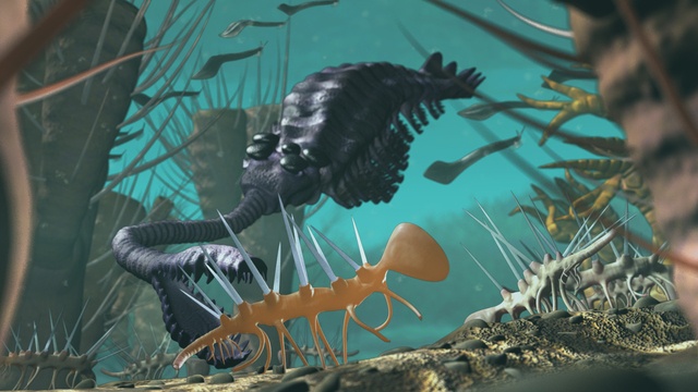 （C）teddycookswell / PIXTA(ピクスタ)