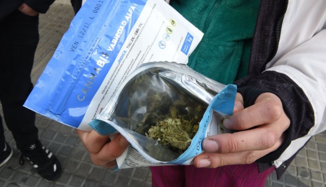 ウルグアイ　大麻