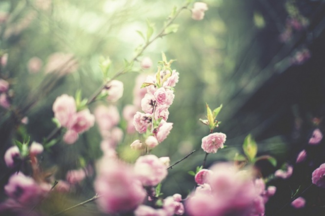 iStock_000064626151_Medium