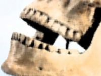 中世ドイツ女性の遺骨の歯に付着していたラピスラズリ。当時女性がアーティストとして活動していた証拠