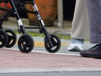 娘と一緒に孫たちを連れて...（画像はイメージ）