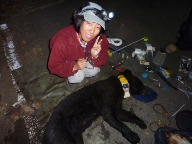 株式会社Nature &amp; Science Consulting　(NSC)のプレスリリース画像