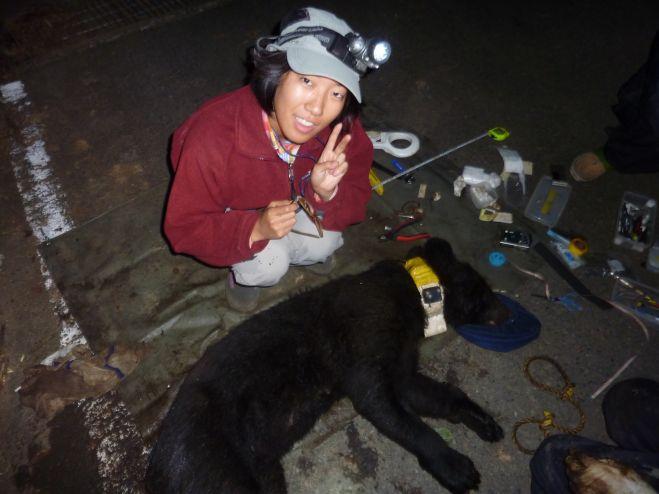 株式会社Nature &amp; Science Consulting　(NSC)のプレスリリース画像