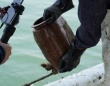 ひと夏の〝タコツボオーナー〟募集中　ドキドキ水揚げ中継で「タコ or 海苔」ゲットのチャンス