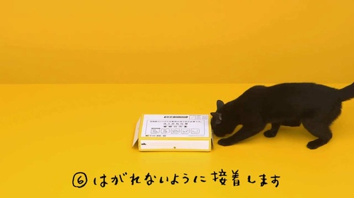 宅急便コンパクト