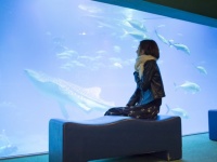 株式会社海遊館のプレスリリース画像