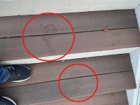 誰も来ていないのに玄関の階段に謎の足跡、しかも帰りの足跡がないという不気味さ