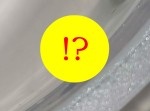 透明で美味しそう？　シンガポールで撮影された“グミ”のようなイモムシ