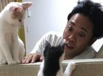 サンシャイン池崎が猫ばっかのYouTubeチャンネルを始めたぞ！