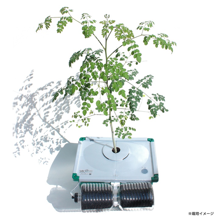 ネイチャーダイン株式会社のプレスリリース画像