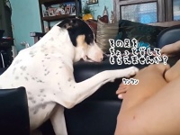 止めたらあかん！足でモフモフされることを要求し続ける犬