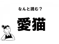 【難読】“あいねこ”じゃない！　「愛猫」の正しい読み方