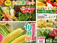 旬のおいしさ、満喫するなら　ふるさとチョイスで人気の【野菜セット】トップ5