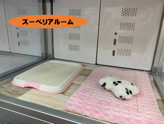 有限会社 Coo&amp;RIKUのプレスリリース画像