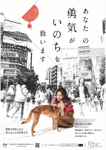 杉本彩 あなたの勇気が 動物虐待を反対するメッセージに反響続々 1ページ目 デイリーニュースオンライン