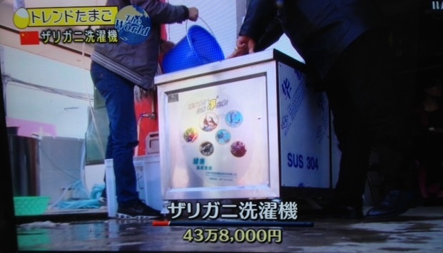ザリガニ洗濯機