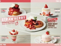 STRAWBERRY GRADATION＜ストロベリーグラデーション＞