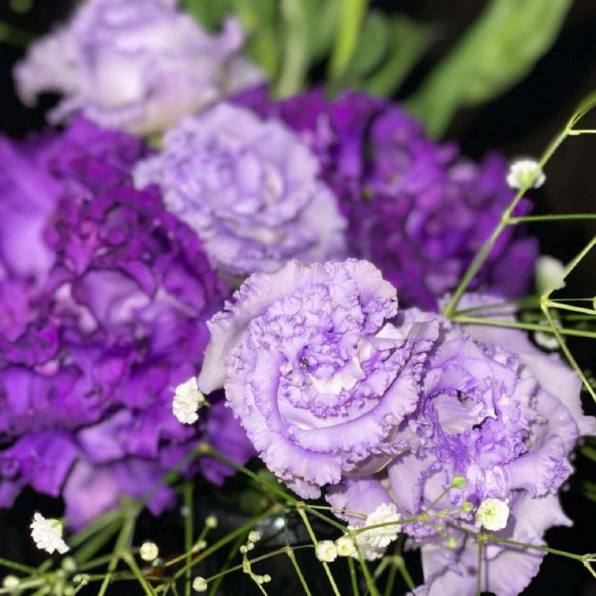 インスタグラム：工藤静香(@kudo_shizuka)より