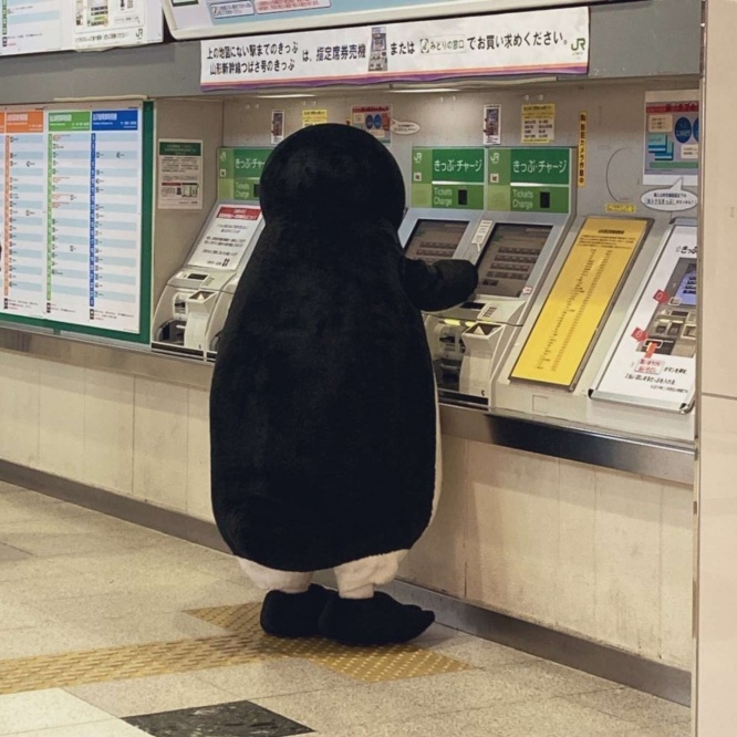 買えなかった...（画像は再掲）