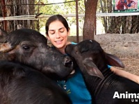 Animal Aid～たまにはほっこりしてみたい。保護動物の赤ちゃんたちの様子をご覧ください