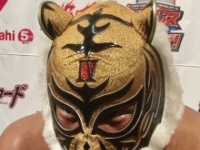 タイガーマスク