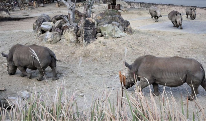 活き活きしていた