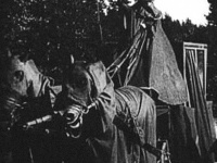 見たら死ぬ、災いが起きる。古代より信じられてきた死や災いの前兆とされる10のこと