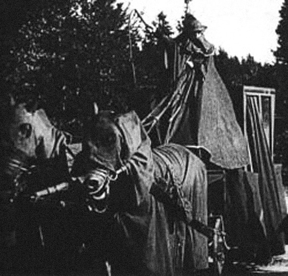 見たら死ぬ、災いが起きる。古代より信じられてきた死や災いの前兆とされる10のこと