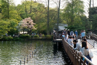 静かな公園で起きた凄惨な事件だっがが……