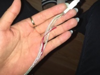 一見普通の写真にさりげなく写った「あるもの」にネットユーザーが騒然