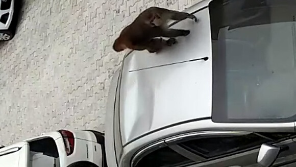 スクリーンショット-(1122)