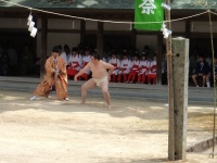 一人角力の様子（今治市役所と大山祇神社提供）