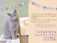 チームミゾタのプレスリリース画像