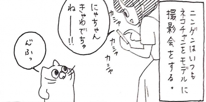 画像はうさぎのみみちゃん@usagitoseinoさんのツイートより