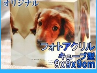 OTAS株式会社のプレスリリース画像